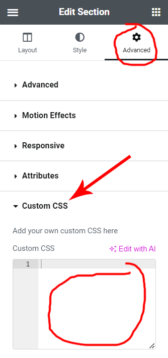 Elementor CSS Option